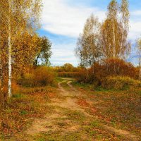 Золотая осень продолжается :: Милешкин Владимир Алексеевич 