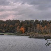 Осенний день... :: Александр Попович