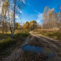 *** :: Андрей Андрианов