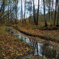 Зрелая осень :: Андрей Лукьянов