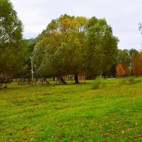 Цивильск. Ивы старого городского парка. :: Пётр Чернега