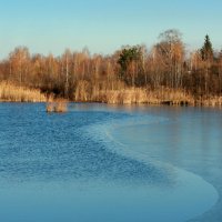 Первый лёд :: Нэля Лысенко