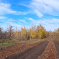 По просёлочным дорогам октября... :: Андрей Заломленков