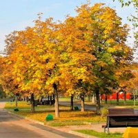 ЗОЛОТАЯ ОСЕНЬ В ПАРКЕ :: Валентина 