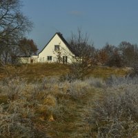 Первые заморозки :: Галина Шеина-Мюльдорфер