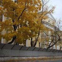 Листья жёлтые над городом кружатся... :: Лютый Дровосек