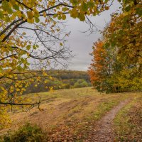 Октябрь в Царицыно... :: Владимир Жданов