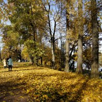 Осенние прогулки. :: Лариса С.