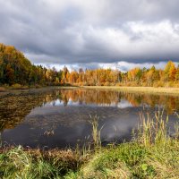 Осенняя симфония природы :: Александр Мезенцев