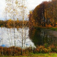 Осенний пейзаж (репортаж из поездок по области). :: Милешкин Владимир Алексеевич 