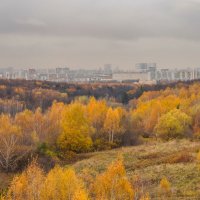 Московская осень... :: Владимир Жданов