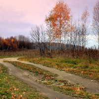 Осень проходит,октябрь... :: Нэля Лысенко