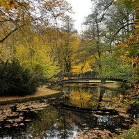 Пролетело очень быстро лето, Но все же мы не будем горевать, :: "The Natural World" Александер