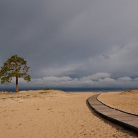 Дорожка к озеру. :: Сергей Герасимов