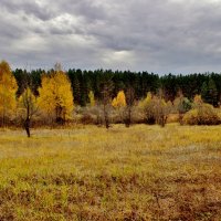 Новохопёрский заповедник. :: Восковых Анна Васильевна 