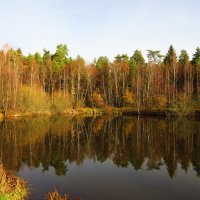 Тихое осеннее утро :: Андрей Снегерёв