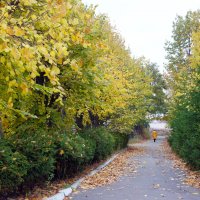 В осеннем парке :: Елена Кирьянова