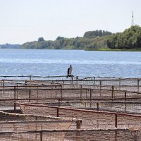 Астрахань,осетровая ферма :: Любовь Сахарова