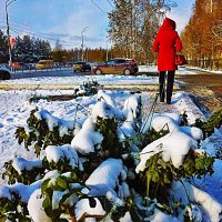 Ноябрь...Первый снег в городе! :: Владимир 