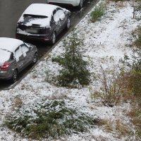 В Белгороде первый снег :: Сеня Белгородский