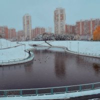 Под белым покрывалом ноября. :: Татьяна Помогалова