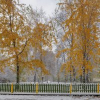 Снежные картинки. :: Николай 