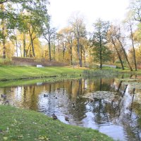 Осенний пруд в парке :: Танзиля Завьялова