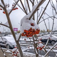 Присыпало снежком :: Валерий Иванович