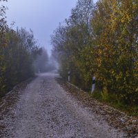 Осенняя дорога :: Сергей Цветков