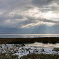 Финский залив :: Наталья Герасимова