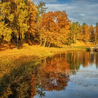 Гатчина :: Владимир Колесников