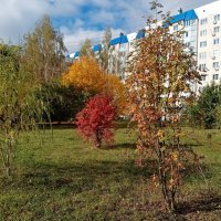 Мценск осенний. :: Владимир Драгунский