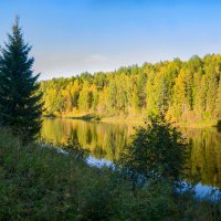 Река Ухта, сентябрь. Осенняя тайга Республики Коми :: Николай Зиновьев