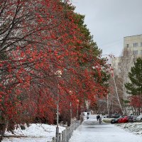 Красное белое. :: Сергей Адигамов