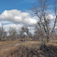 Осенние облака,на синем небе. :: Андрей Хлопонин