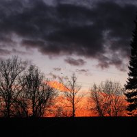 Вечерний пожар на небе :: Людмила Смородинская