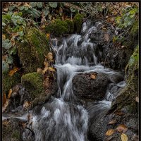 осенние ручейки :: Сергей Литвинов