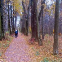 .. бесконечная аллея в усадьбе Гребнево, как портал в прошлое.. :: galalog galalog