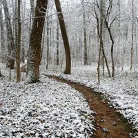 В городском парке. :: Милешкин Владимир Алексеевич 