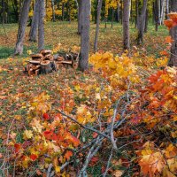 Осень :: Владимир Колесников