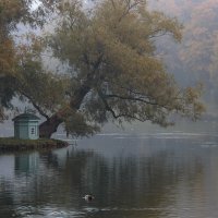 Не в домике :: Валерий Паршин