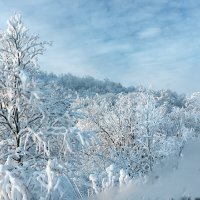 Зимнее Заполярье. :: Ольга 