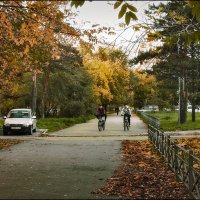 Посделние дни золотой осени :: Людмила Фил