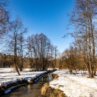 Весна в Измайловском парке :: Мария Демина