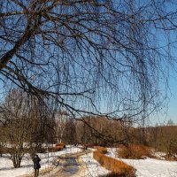 В парке :: Мария Демина