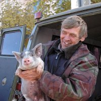 Почему на упаковках сосисок поросята весело улыбаются? Потому что там их нет! :-) :: Андрей Заломленков