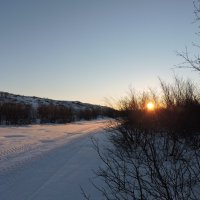 Ноябрь. Заполярье. :: Мария Васильева