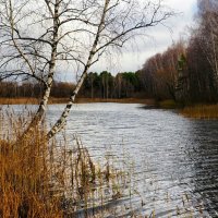 Осенняя пора на Смоленщине. :: Милешкин Владимир Алексеевич 