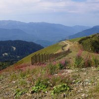 Дорожка на водопады Менделя :: Наталия Григорьева