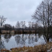 Холодное утро :: Андрей Зайцев